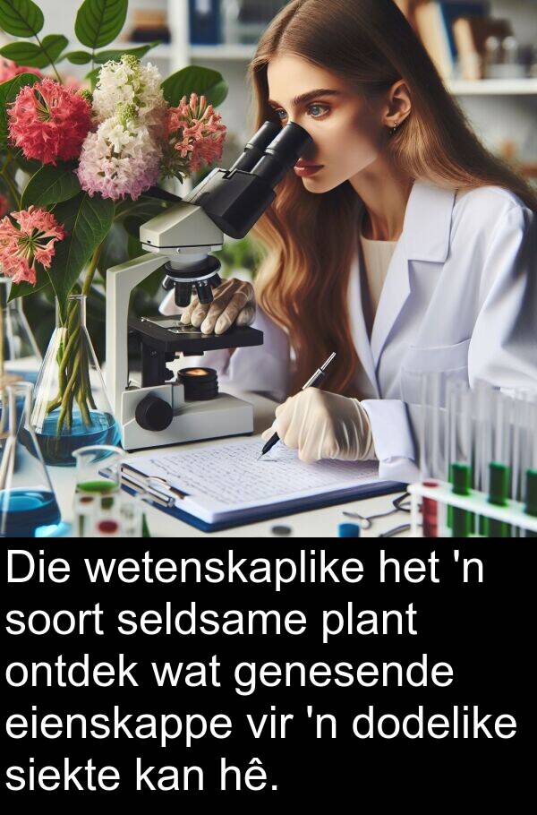hê: Die wetenskaplike het 'n soort seldsame plant ontdek wat genesende eienskappe vir 'n dodelike siekte kan hê.