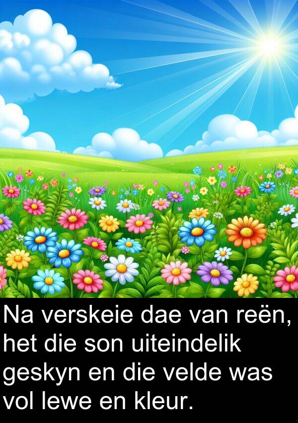 dae: Na verskeie dae van reën, het die son uiteindelik geskyn en die velde was vol lewe en kleur.