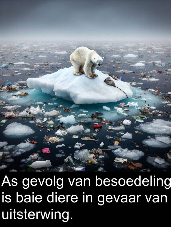 uitsterwing: As gevolg van besoedeling is baie diere in gevaar van uitsterwing.