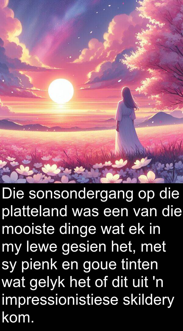 dinge: Die sonsondergang op die platteland was een van die mooiste dinge wat ek in my lewe gesien het, met sy pienk en goue tinten wat gelyk het of dit uit 'n impressionistiese skildery kom.