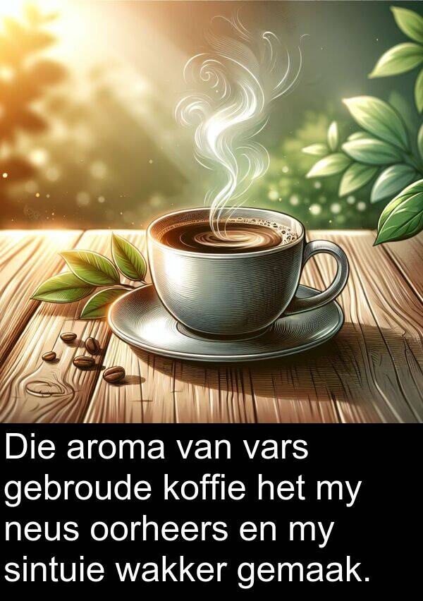 gebroude: Die aroma van vars gebroude koffie het my neus oorheers en my sintuie wakker gemaak.
