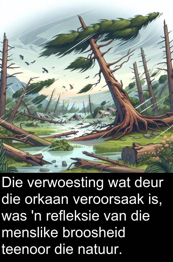 teenoor: Die verwoesting wat deur die orkaan veroorsaak is, was 'n refleksie van die menslike broosheid teenoor die natuur.