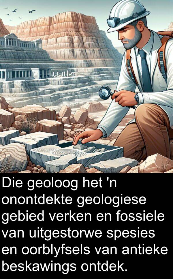 gebied: Die geoloog het 'n onontdekte geologiese gebied verken en fossiele van uitgestorwe spesies en oorblyfsels van antieke beskawings ontdek.