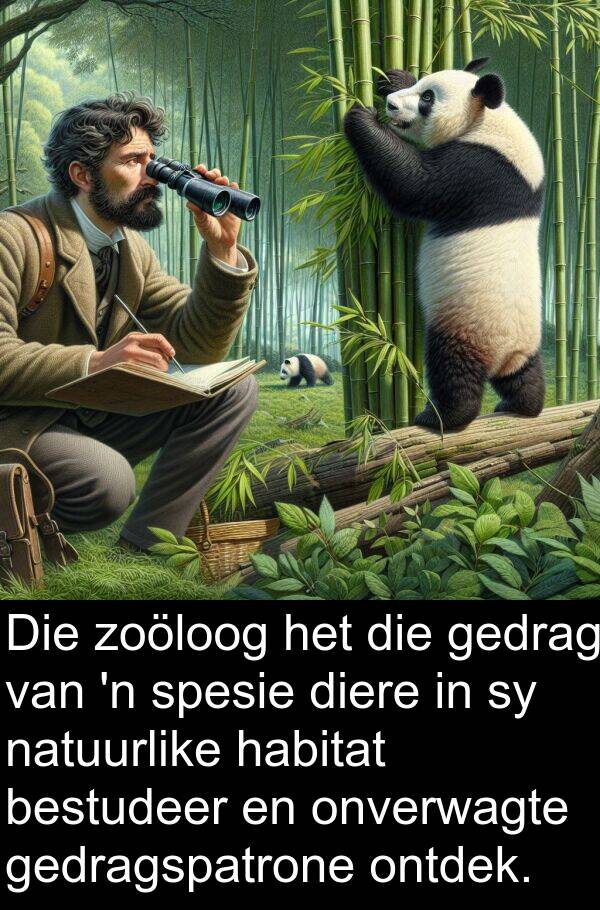 habitat: Die zoöloog het die gedrag van 'n spesie diere in sy natuurlike habitat bestudeer en onverwagte gedragspatrone ontdek.