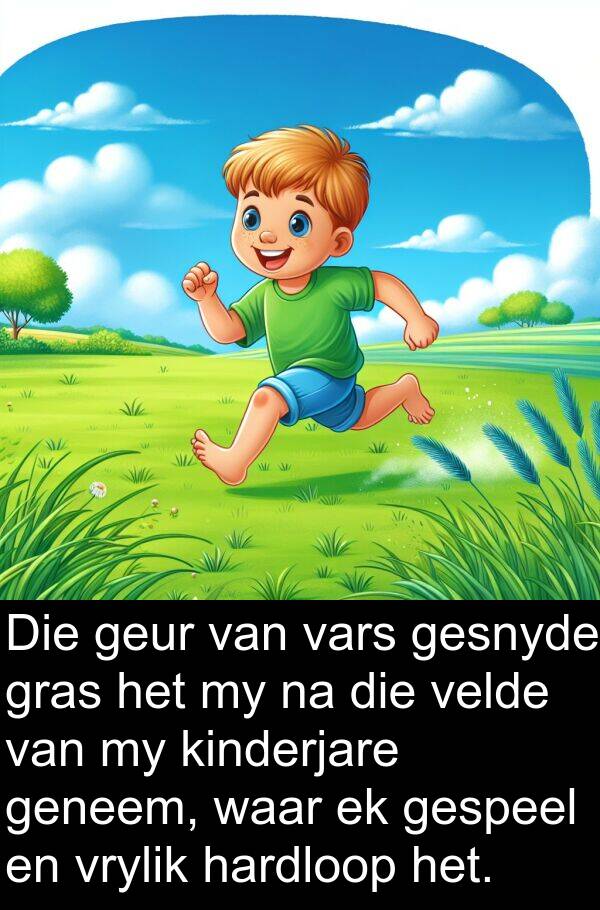 hardloop: Die geur van vars gesnyde gras het my na die velde van my kinderjare geneem, waar ek gespeel en vrylik hardloop het.