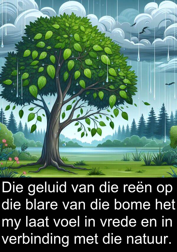 natuur: Die geluid van die reën op die blare van die bome het my laat voel in vrede en in verbinding met die natuur.
