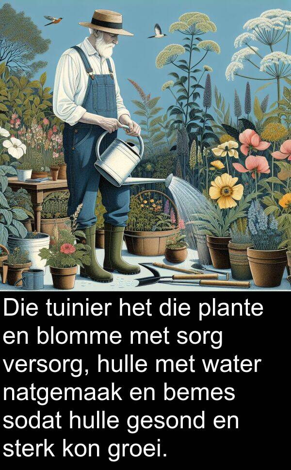 natgemaak: Die tuinier het die plante en blomme met sorg versorg, hulle met water natgemaak en bemes sodat hulle gesond en sterk kon groei.