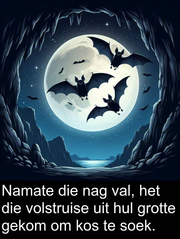 uit: Namate die nag val, het die volstruise uit hul grotte gekom om kos te soek.