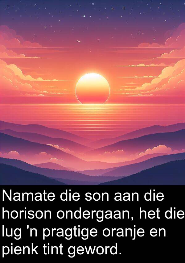 horison: Namate die son aan die horison ondergaan, het die lug 'n pragtige oranje en pienk tint geword.
