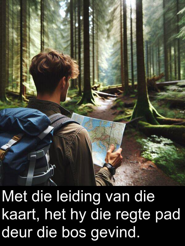 regte: Met die leiding van die kaart, het hy die regte pad deur die bos gevind.