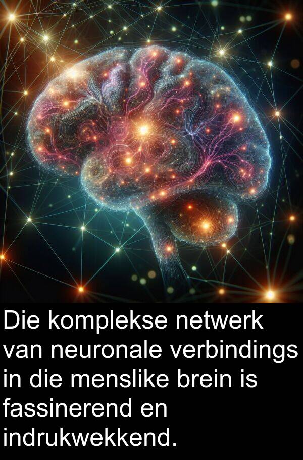 indrukwekkend: Die komplekse netwerk van neuronale verbindings in die menslike brein is fassinerend en indrukwekkend.
