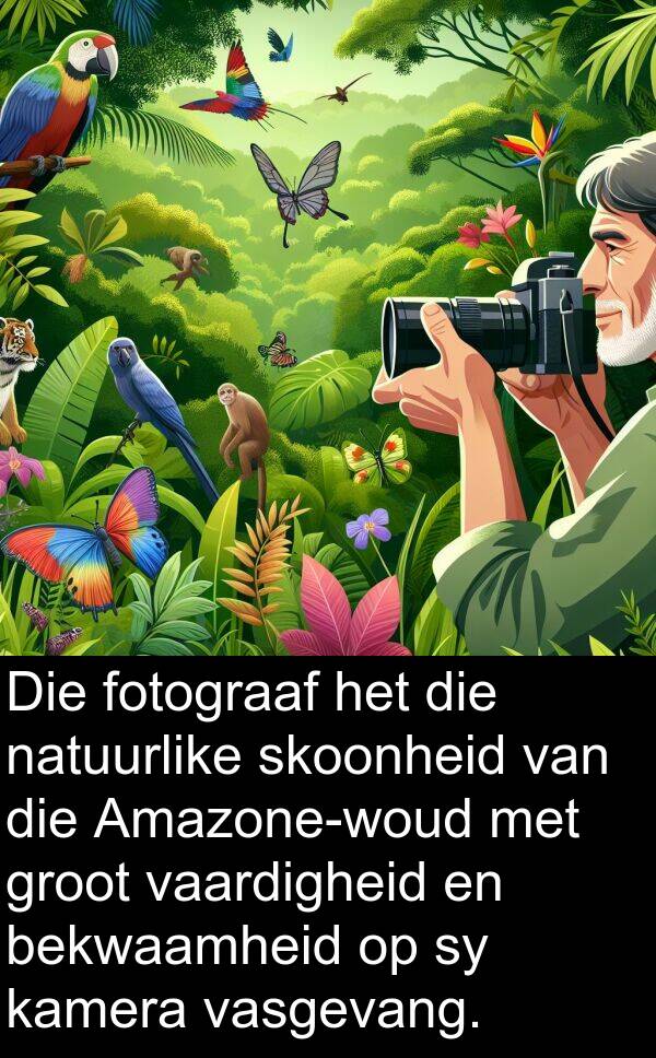bekwaamheid: Die fotograaf het die natuurlike skoonheid van die Amazone-woud met groot vaardigheid en bekwaamheid op sy kamera vasgevang.