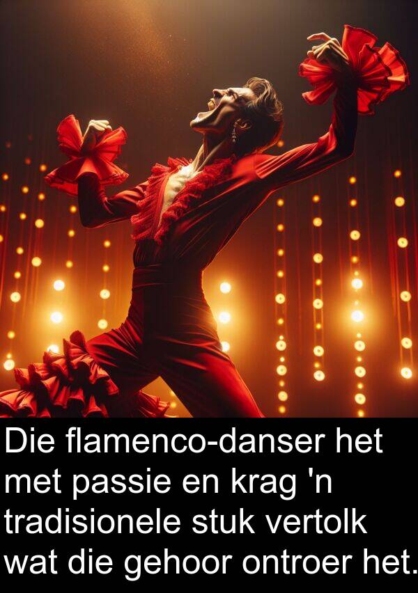 gehoor: Die flamenco-danser het met passie en krag 'n tradisionele stuk vertolk wat die gehoor ontroer het.