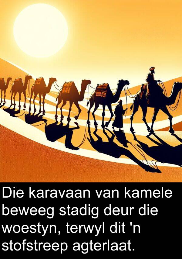 agterlaat: Die karavaan van kamele beweeg stadig deur die woestyn, terwyl dit 'n stofstreep agterlaat.