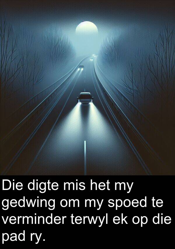 mis: Die digte mis het my gedwing om my spoed te verminder terwyl ek op die pad ry.