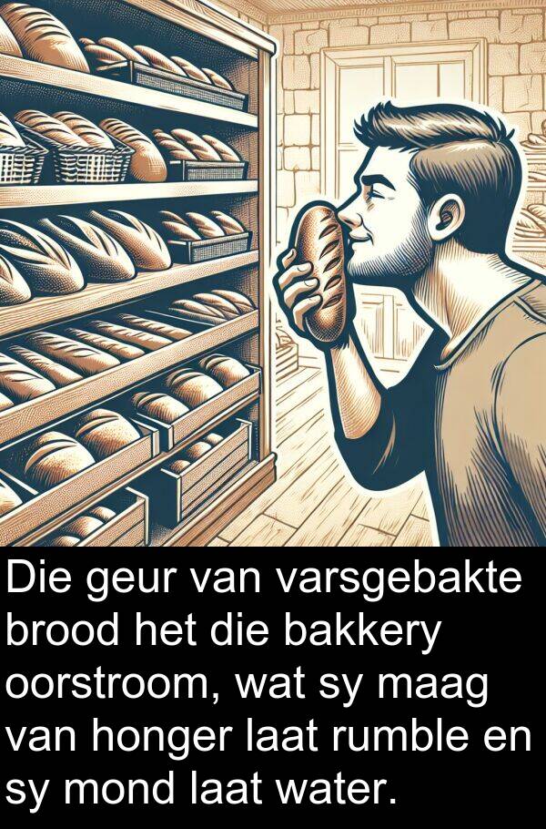 honger: Die geur van varsgebakte brood het die bakkery oorstroom, wat sy maag van honger laat rumble en sy mond laat water.