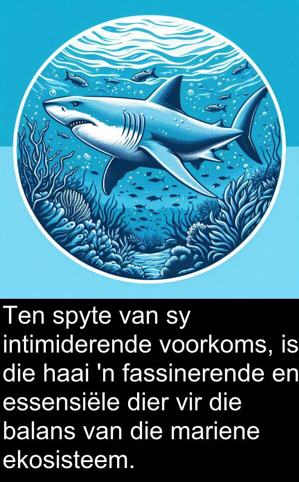 essensiële: Ten spyte van sy intimiderende voorkoms, is die haai 'n fassinerende en essensiële dier vir die balans van die mariene ekosisteem.