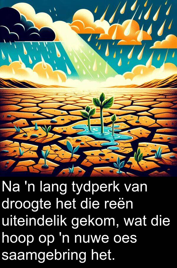 hoop: Na 'n lang tydperk van droogte het die reën uiteindelik gekom, wat die hoop op 'n nuwe oes saamgebring het.
