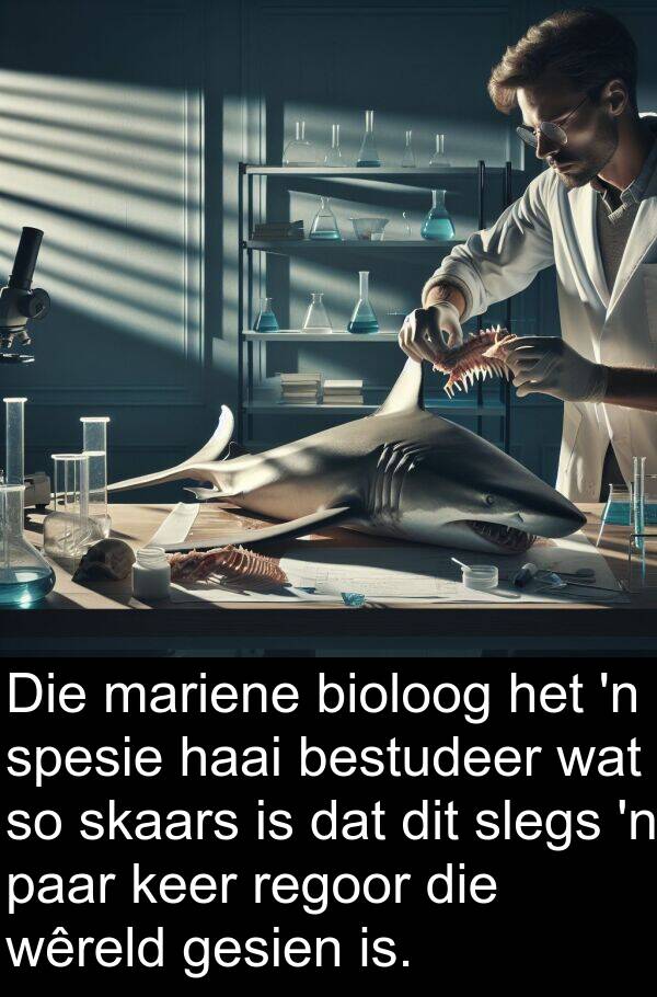 paar: Die mariene bioloog het 'n spesie haai bestudeer wat so skaars is dat dit slegs 'n paar keer regoor die wêreld gesien is.