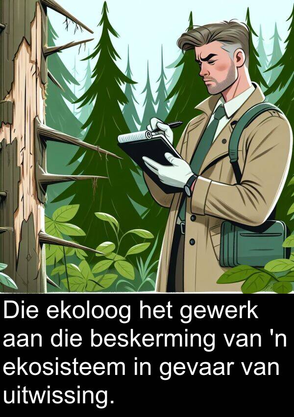 uitwissing: Die ekoloog het gewerk aan die beskerming van 'n ekosisteem in gevaar van uitwissing.