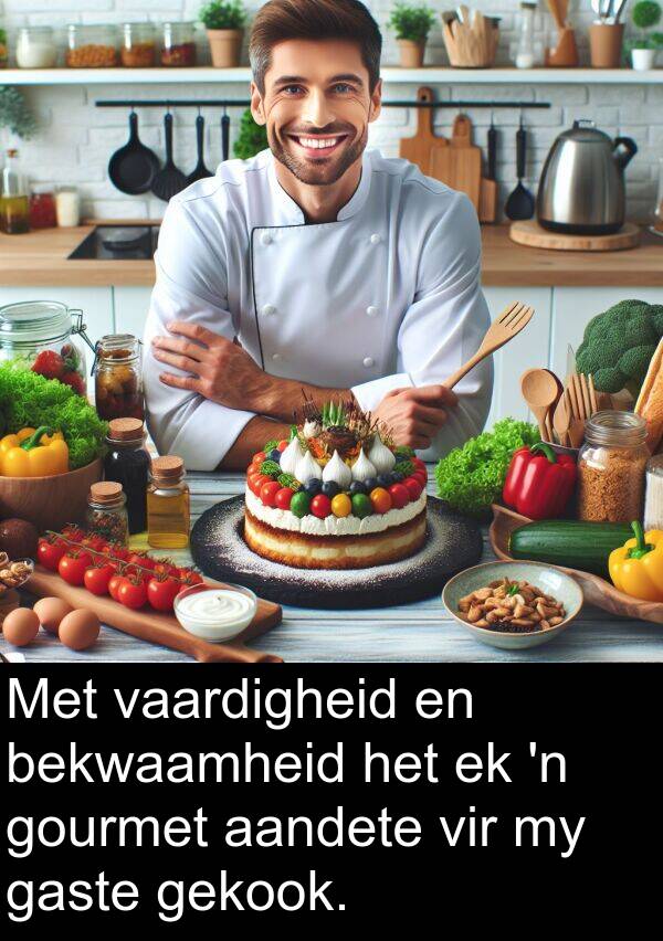 gaste: Met vaardigheid en bekwaamheid het ek 'n gourmet aandete vir my gaste gekook.