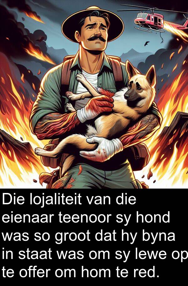 red: Die lojaliteit van die eienaar teenoor sy hond was so groot dat hy byna in staat was om sy lewe op te offer om hom te red.