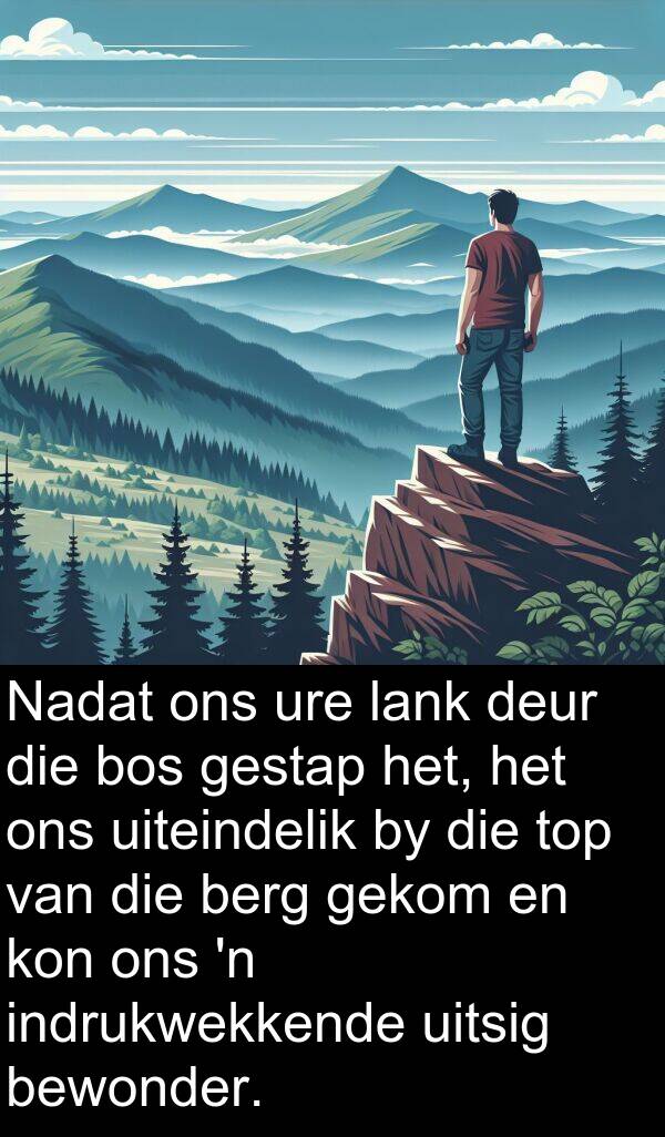 uitsig: Nadat ons ure lank deur die bos gestap het, het ons uiteindelik by die top van die berg gekom en kon ons 'n indrukwekkende uitsig bewonder.