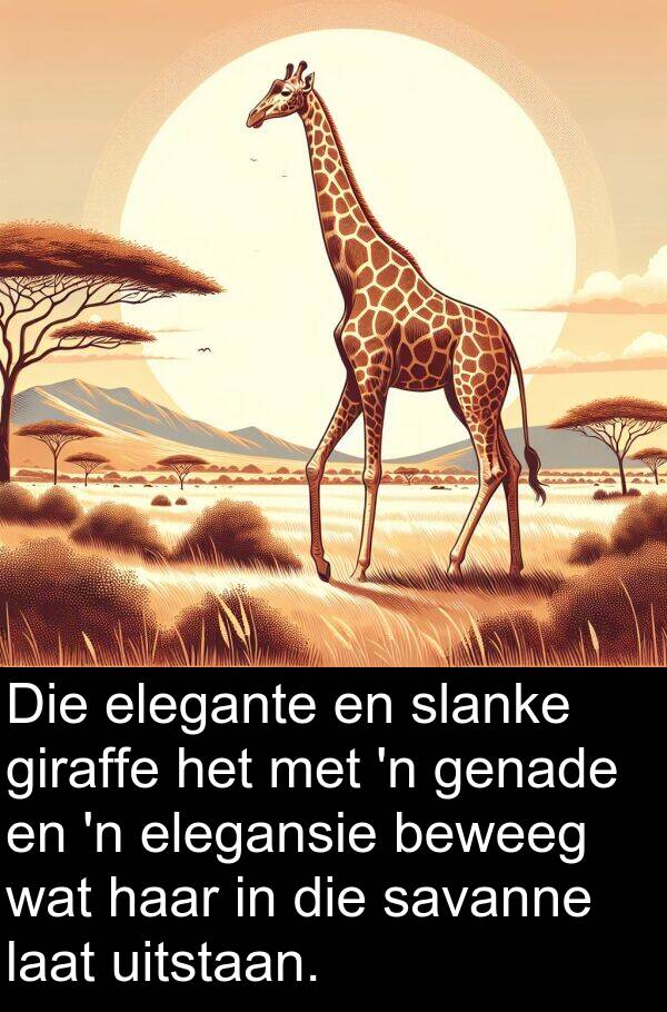 uitstaan: Die elegante en slanke giraffe het met 'n genade en 'n elegansie beweeg wat haar in die savanne laat uitstaan.