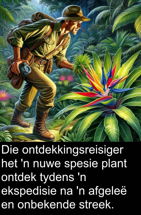 afgeleë: Die ontdekkingsreisiger het 'n nuwe spesie plant ontdek tydens 'n ekspedisie na 'n afgeleë en onbekende streek.