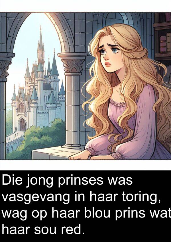red: Die jong prinses was vasgevang in haar toring, wag op haar blou prins wat haar sou red.