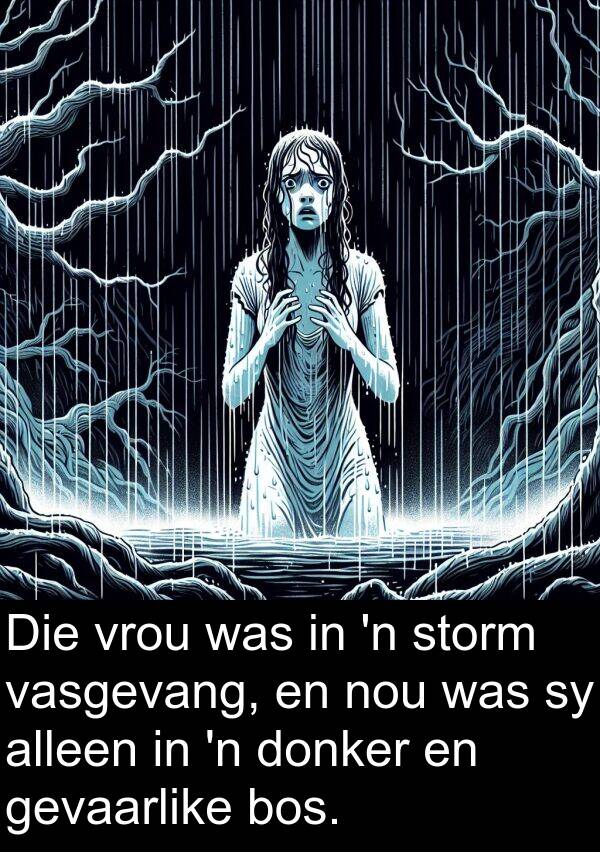 donker: Die vrou was in 'n storm vasgevang, en nou was sy alleen in 'n donker en gevaarlike bos.