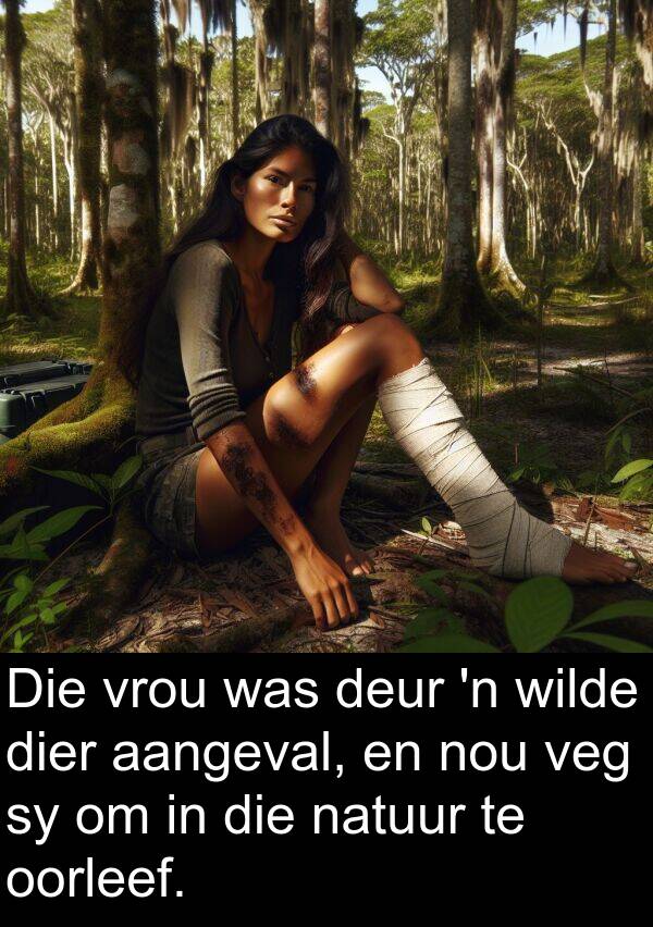 wilde: Die vrou was deur 'n wilde dier aangeval, en nou veg sy om in die natuur te oorleef.