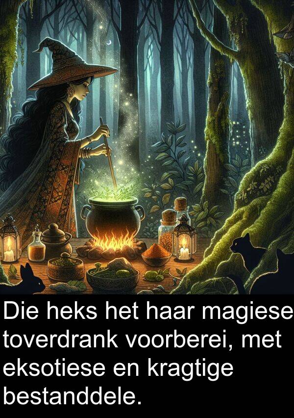 heks: Die heks het haar magiese toverdrank voorberei, met eksotiese en kragtige bestanddele.