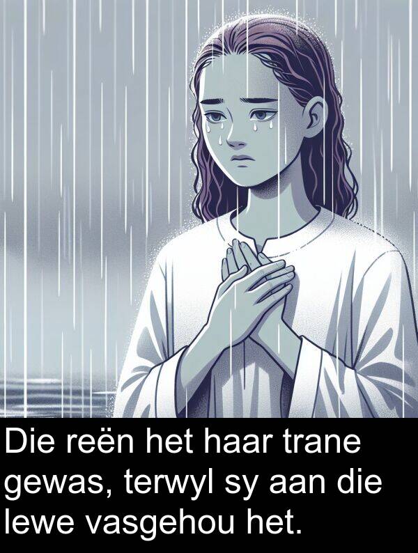 trane: Die reën het haar trane gewas, terwyl sy aan die lewe vasgehou het.