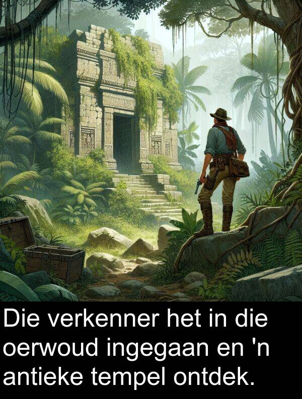 oerwoud: Die verkenner het in die oerwoud ingegaan en 'n antieke tempel ontdek.