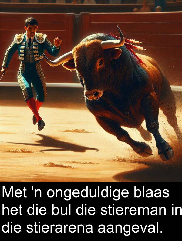 ongeduldige: Met 'n ongeduldige blaas het die bul die stiereman in die stierarena aangeval.