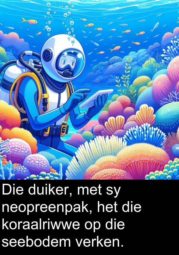 seebodem: Die duiker, met sy neopreenpak, het die koraalriwwe op die seebodem verken.