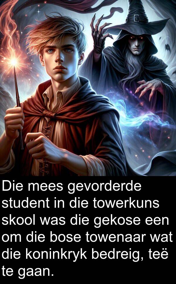 gekose: Die mees gevorderde student in die towerkuns skool was die gekose een om die bose towenaar wat die koninkryk bedreig, teë te gaan.