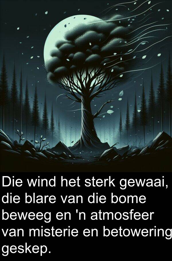 misterie: Die wind het sterk gewaai, die blare van die bome beweeg en 'n atmosfeer van misterie en betowering geskep.