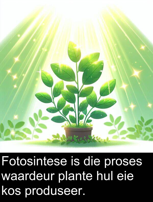 proses: Fotosintese is die proses waardeur plante hul eie kos produseer.