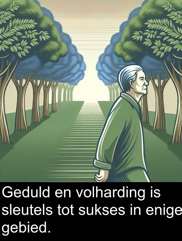 gebied: Geduld en volharding is sleutels tot sukses in enige gebied.