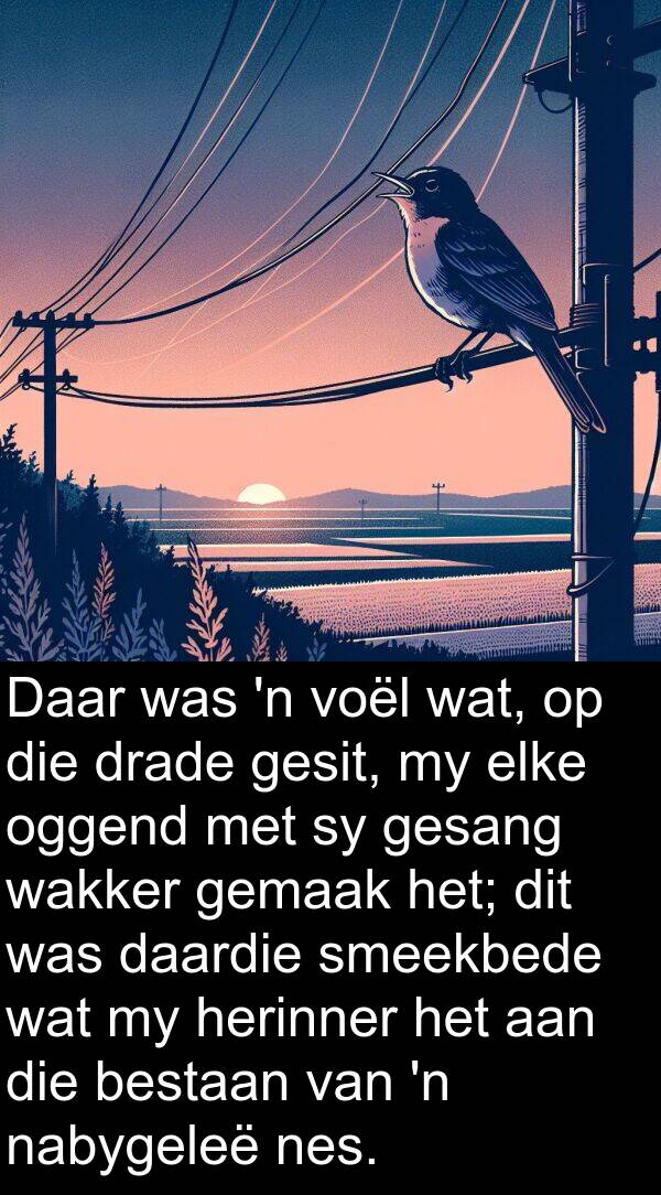herinner: Daar was 'n voël wat, op die drade gesit, my elke oggend met sy gesang wakker gemaak het; dit was daardie smeekbede wat my herinner het aan die bestaan van 'n nabygeleë nes.