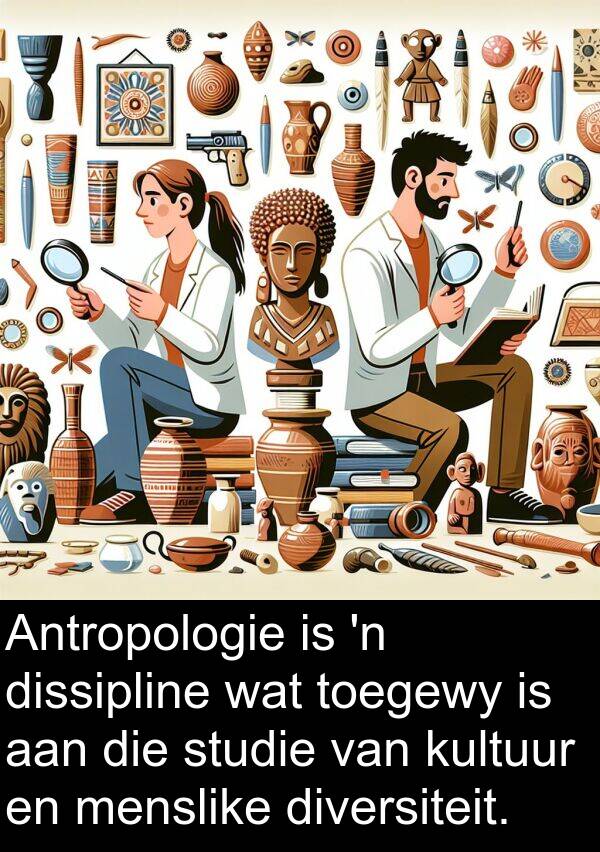 dissipline: Antropologie is 'n dissipline wat toegewy is aan die studie van kultuur en menslike diversiteit.