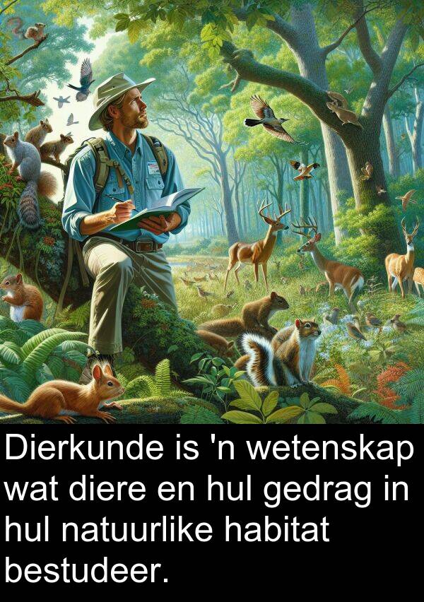 habitat: Dierkunde is 'n wetenskap wat diere en hul gedrag in hul natuurlike habitat bestudeer.