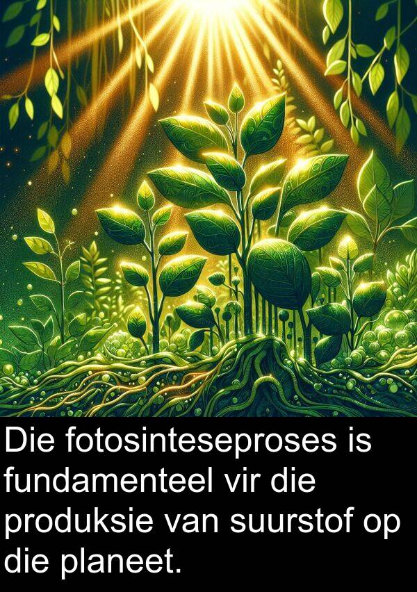 planeet: Die fotosinteseproses is fundamenteel vir die produksie van suurstof op die planeet.