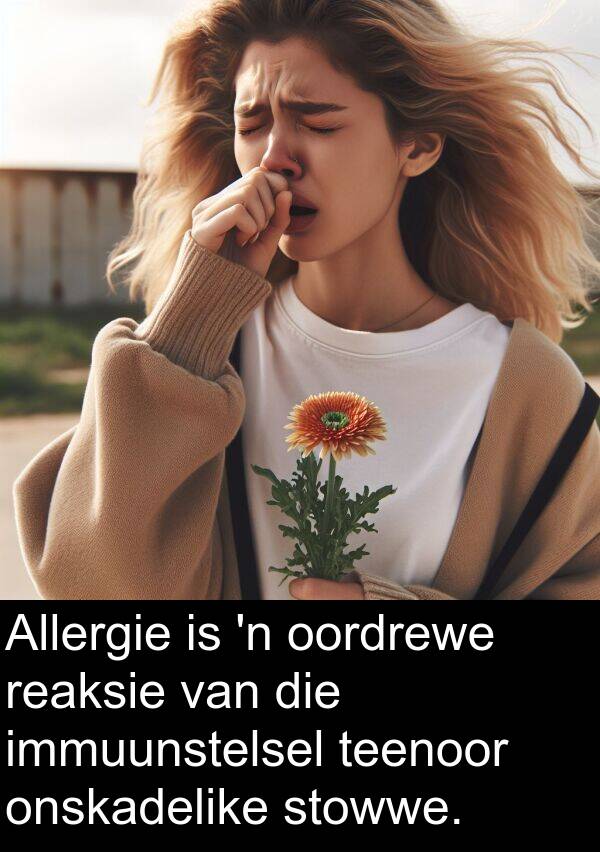 immuunstelsel: Allergie is 'n oordrewe reaksie van die immuunstelsel teenoor onskadelike stowwe.