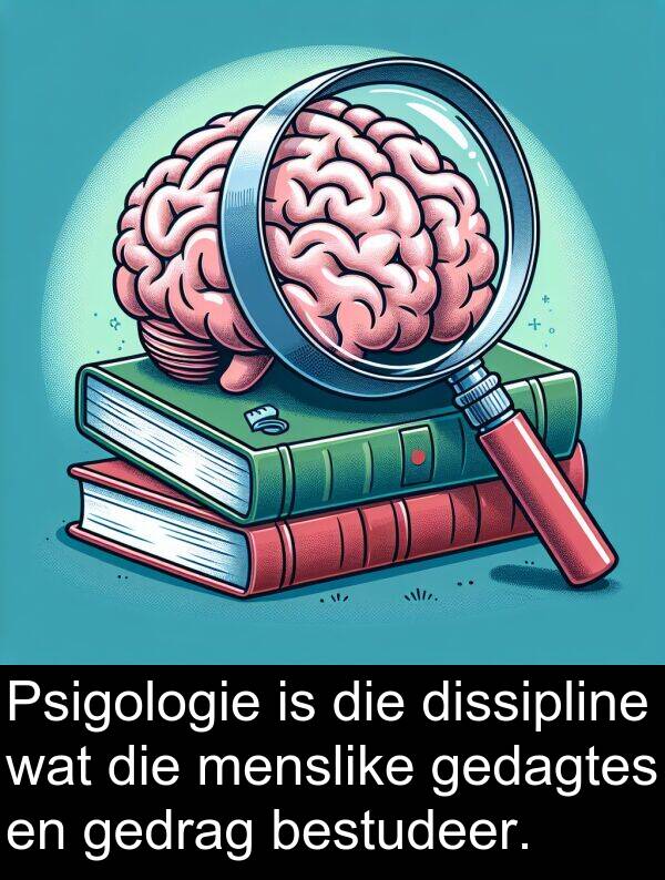 gedagtes: Psigologie is die dissipline wat die menslike gedagtes en gedrag bestudeer.