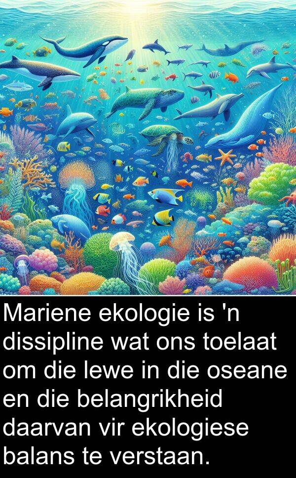 dissipline: Mariene ekologie is 'n dissipline wat ons toelaat om die lewe in die oseane en die belangrikheid daarvan vir ekologiese balans te verstaan.