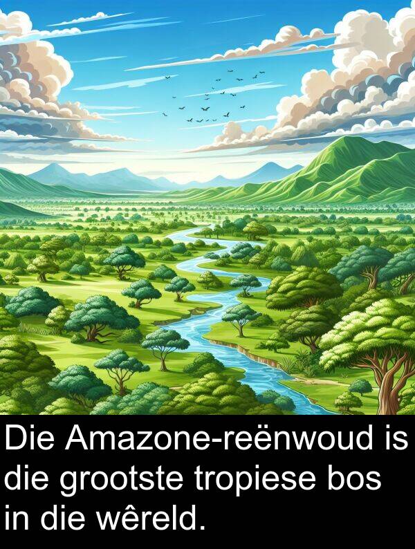 wêreld: Die Amazone-reënwoud is die grootste tropiese bos in die wêreld.