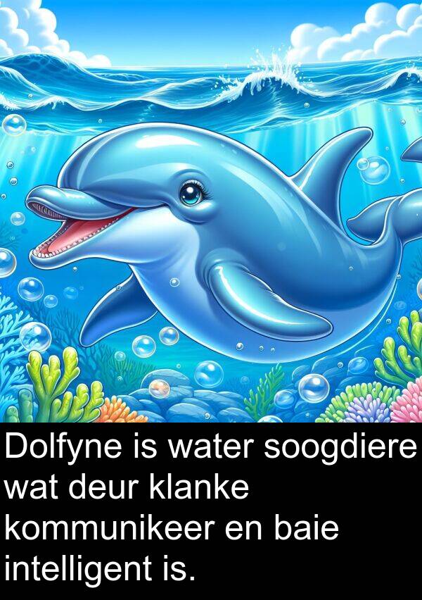 intelligent: Dolfyne is water soogdiere wat deur klanke kommunikeer en baie intelligent is.